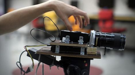 floresta vermelha_CCSP